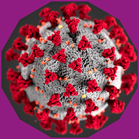 magnified image of the corona virus