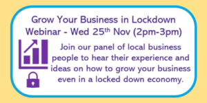 Promotion panel for Grow Your Business in Lockdown webinar on 25th November